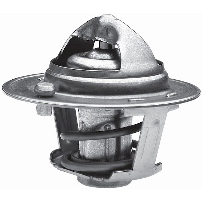 TERMOSTATO FORD ECOSPORT 13-