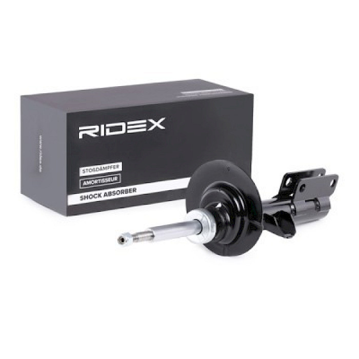 AMORTIGUADOR  DELANTERO  BMW X5 E53 00-06