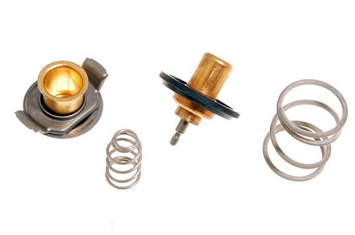 TERMOSTATO LAND ROVER