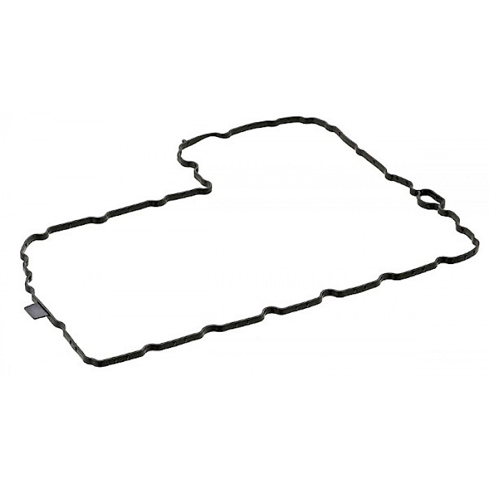 EMPAQUE  CARTER AUDI