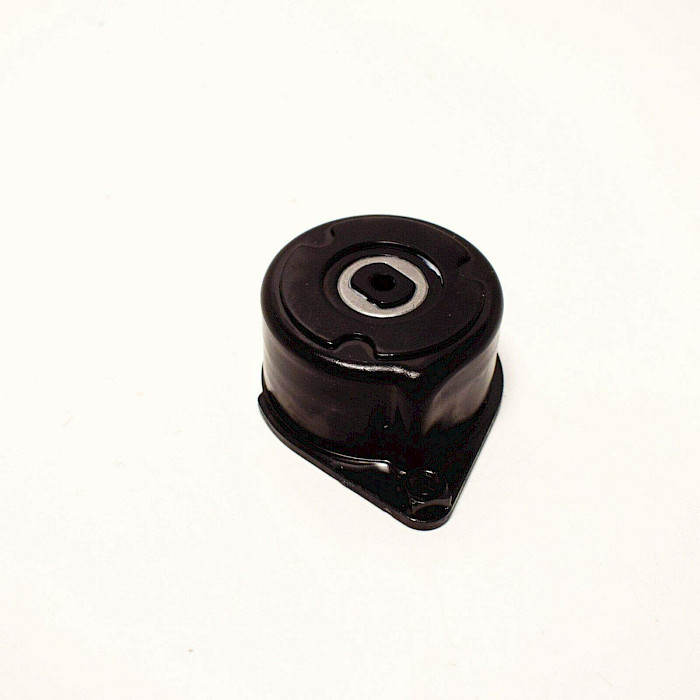 TENSOR DE CORREA  TIEMPO BMW E46, E39, E38, E53