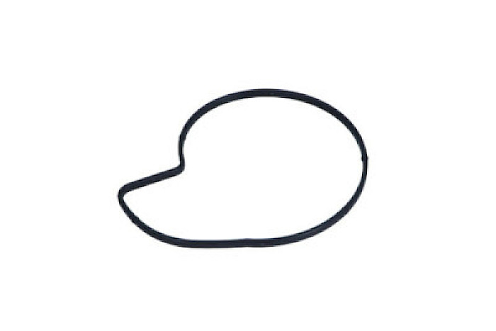 EMPAQUE  BOMBA DE AGUA  BMW