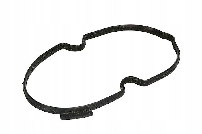 EMPAQUE  CARTER AUDI