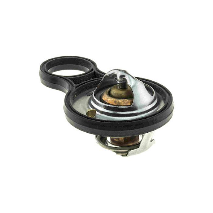 TERMOSTATO MINI W11 R53 00-05